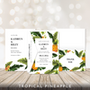 3-Piece Bundle