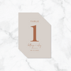 Terracotta Dreams - Reception Table Numbers